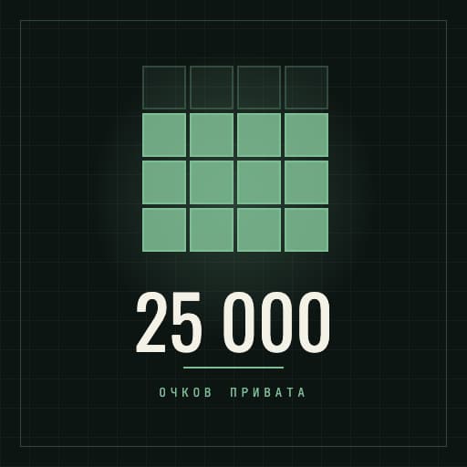25000 очков привата