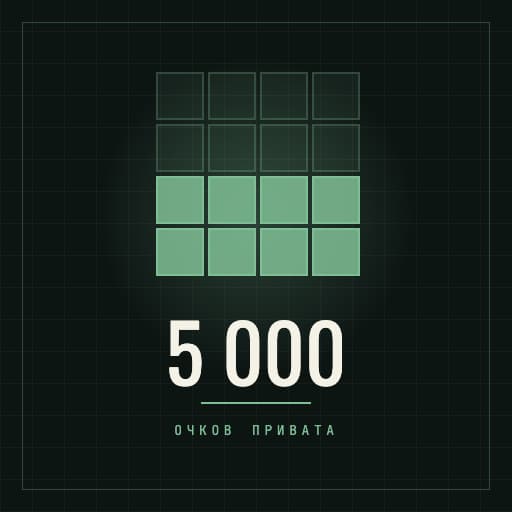 5000 очков привата